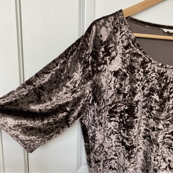 Pol crushed velvet short sleeve scoop neck shirt - Picture 6 of 10